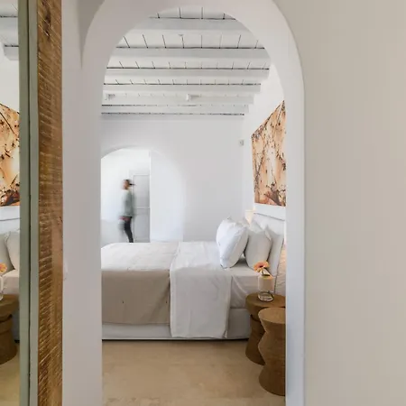 Alkioni Agios Lazaros Villa Mykonos Town